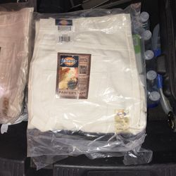 Dickies Painter Paints 