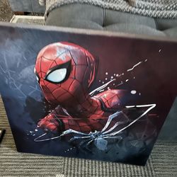 Cuadros de Spider-Man en buenas condiciones