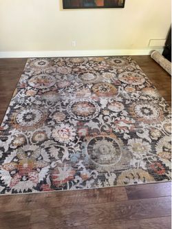 Indoor area rug 8x10