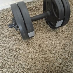 10 Lbs  Dumbell $10
