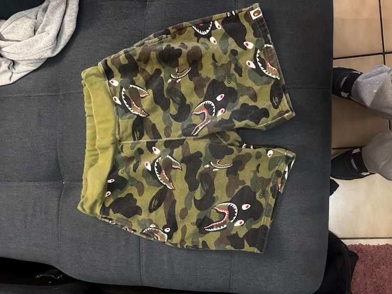 Babe camel shark faces shorts eight out of 10 condition Little To No Flaws