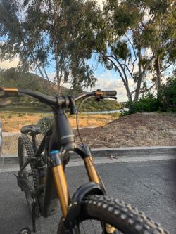 Orbea wild