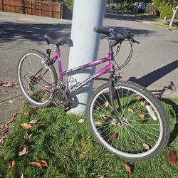 Bike Roadmaster Mt. Fury, 26", Speed 12, Very Good Condition