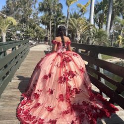 Quince Dress
