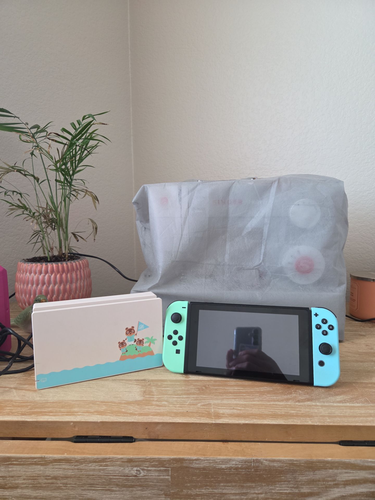 Animal Crossing Nintendo Switch Console