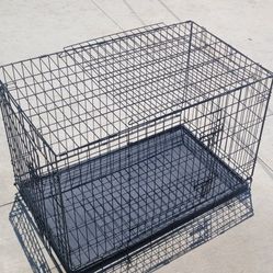 Dog Kennel 