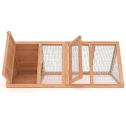 Chicken Rabbit It Small Animal