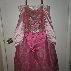 Disney princess costume