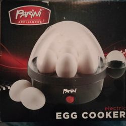 Electric Egg Cooker 