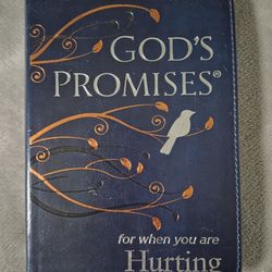 God's Promises for When You Are Hurting Bible Verses Hope Healing