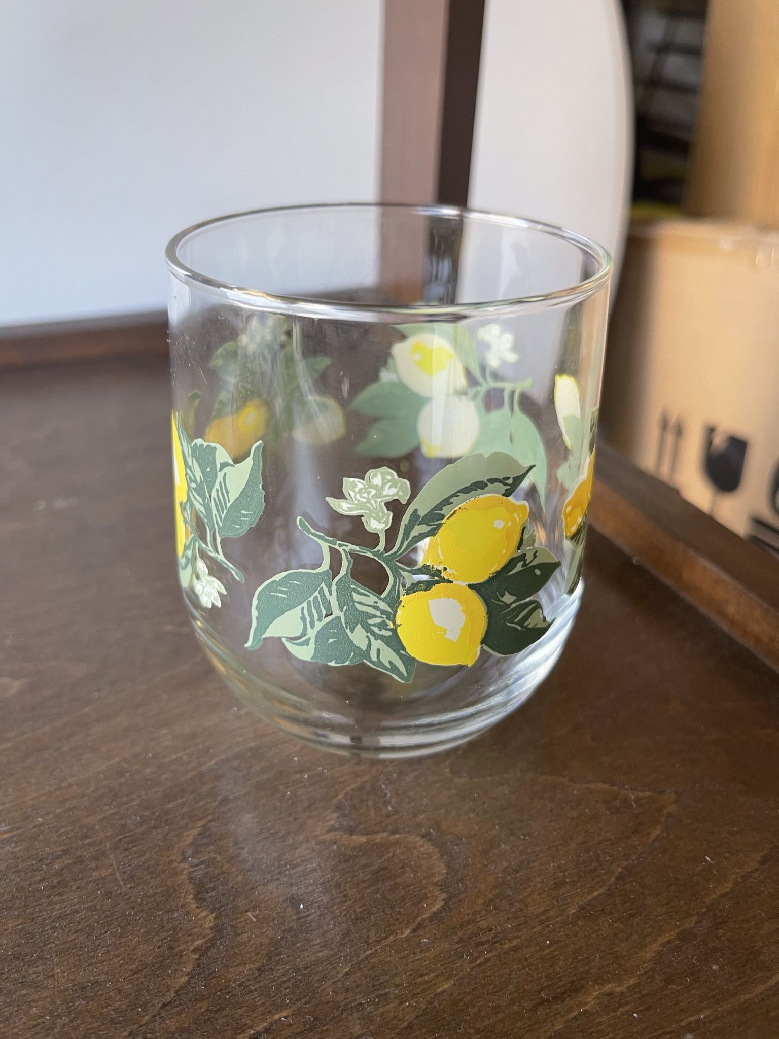Stemless Glasses 