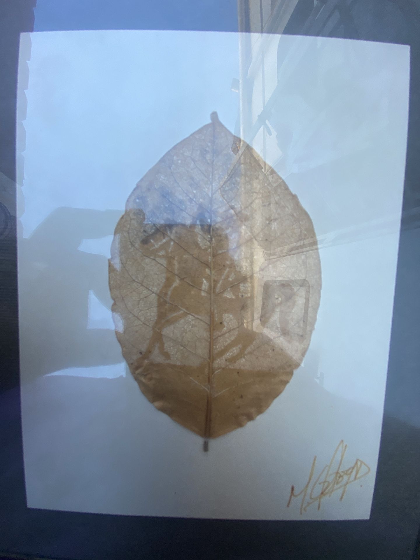 Mexican Art old technique of Leaf Peeling, set in metal New with tag