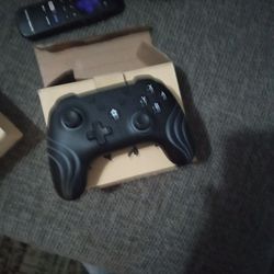 Switch And PC Compatible Controller 