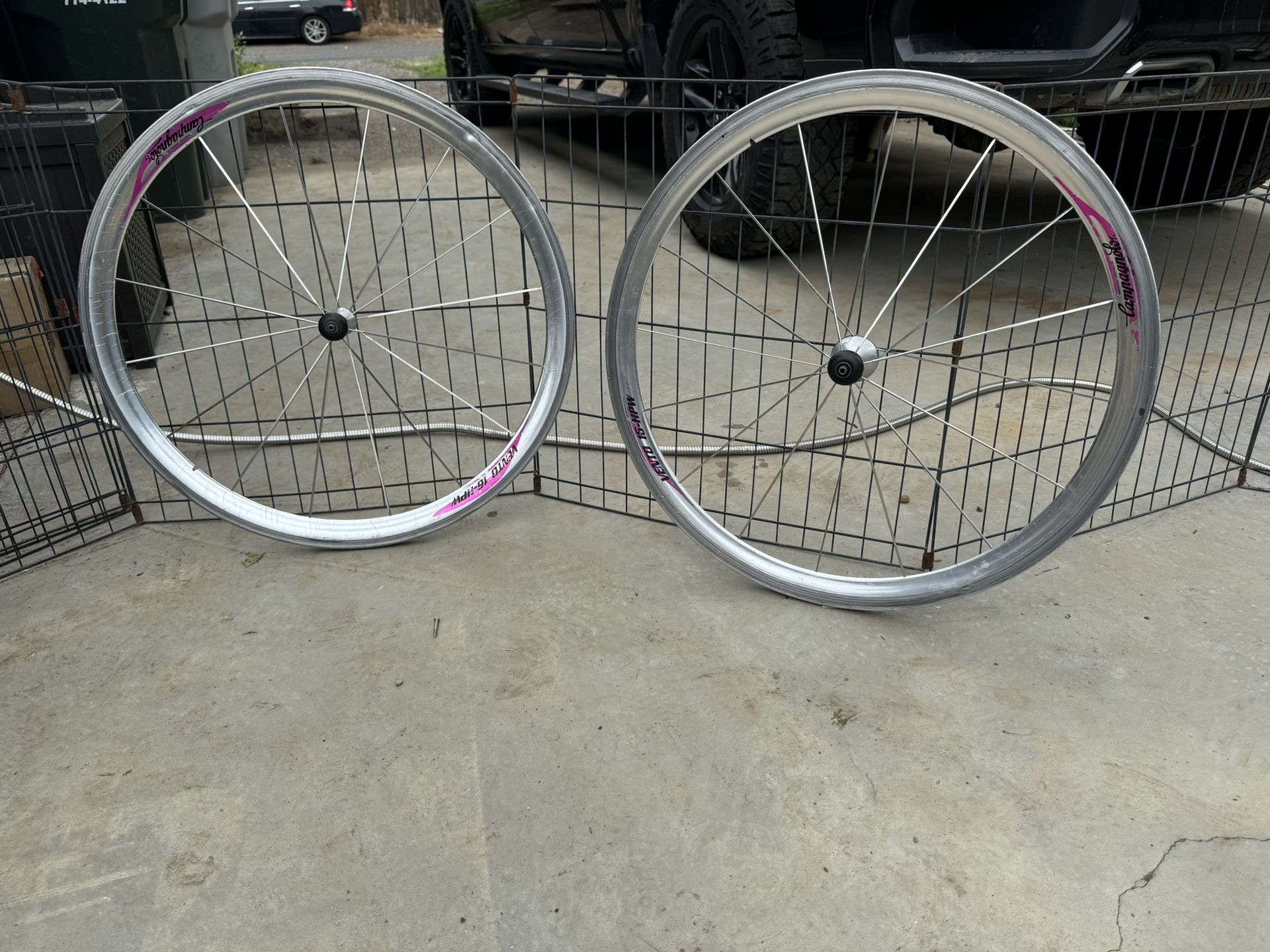 Campagnolo Vento