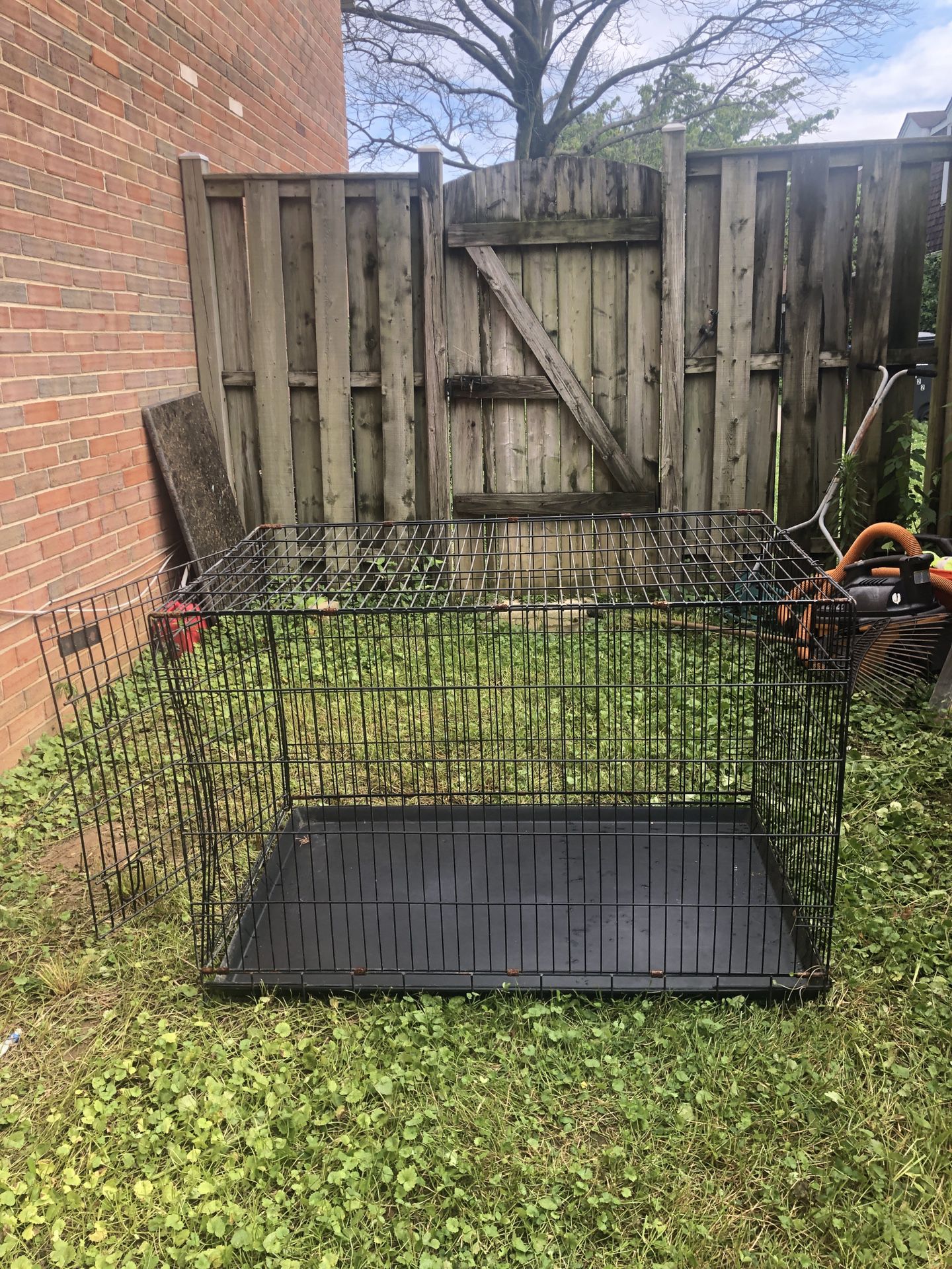 Big cage for dog