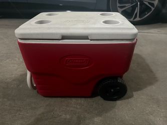 Cooler