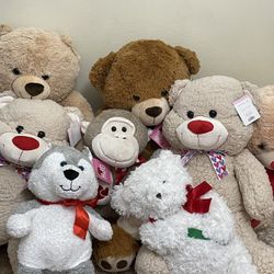 36 In Valentine Teddy Bear $45Each