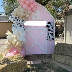 Pink Barn Backdrop 