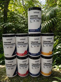 Creatine Powder Micronized Creatine Monohydrate 500g