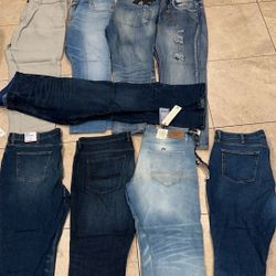 Pants