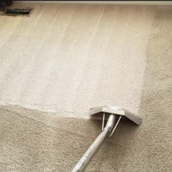 Steam Cleaned Carpet