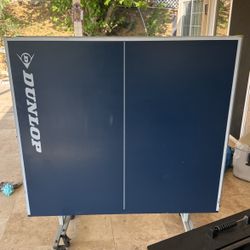 Ping Pong Table With Paddles 