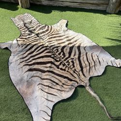 Real Zebra Hide