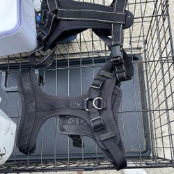 Dog Harness