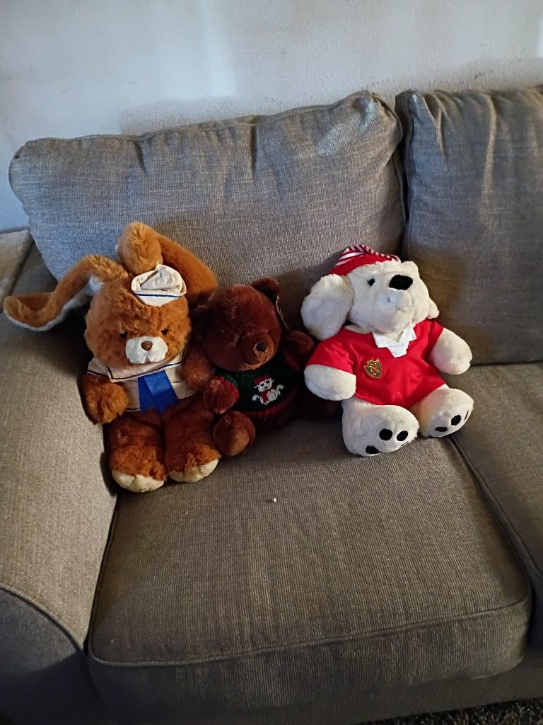 4 Rare Plushies With Random Ones