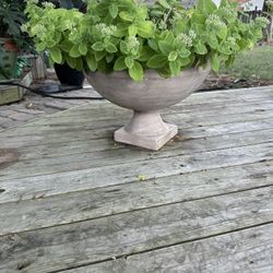 Planter Jumbo Size filled With plants. 25.00.  Paid over125 Originally