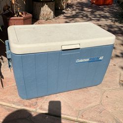 Chest Cooler
