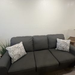 Grey Couch A Year Old 