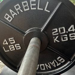 Pair of 45 lb Weight Plates – Great Condition 💪
