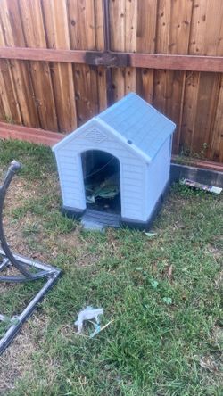 Dog house