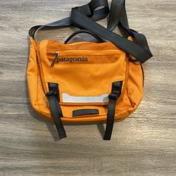 This Patagonia messenger bag,