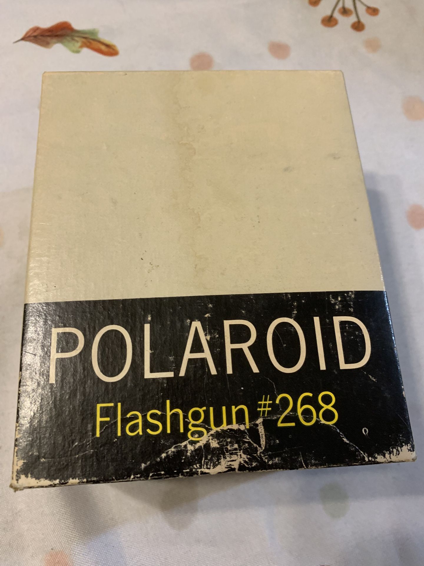 Polaroid