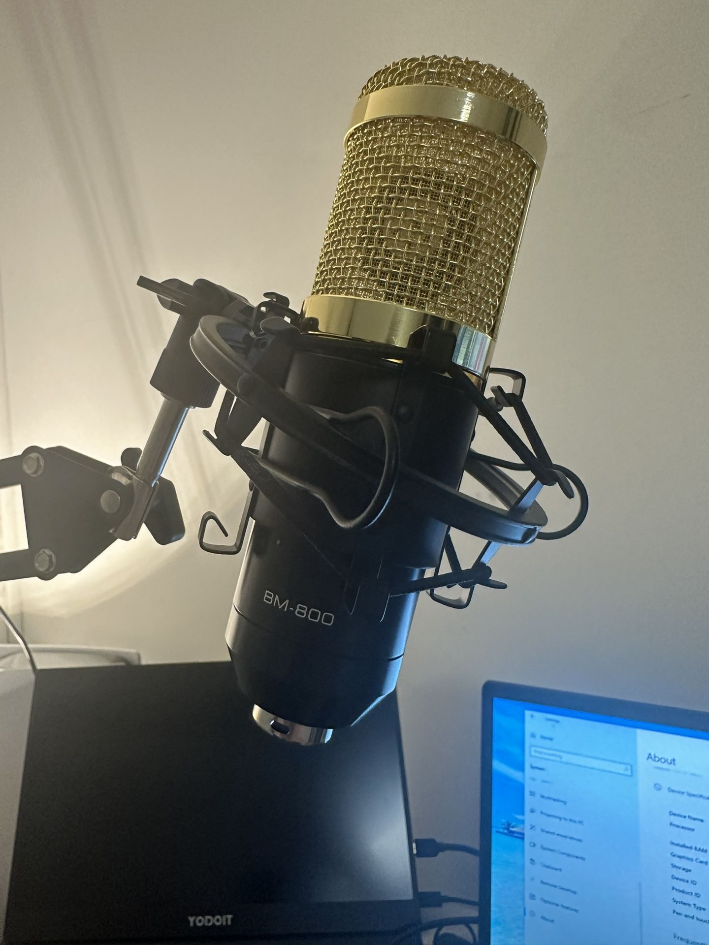 Podcast/pc Mic