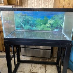 40 Gallon Aquarium Tank With Stand