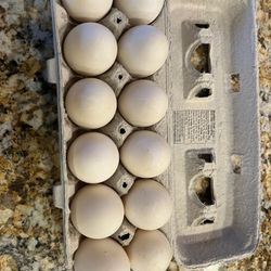 Duck Eggs