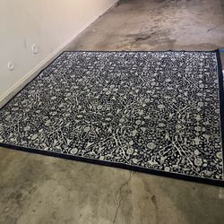 ***Blue Carpet ** Clean 