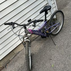 Bikes And Trailers