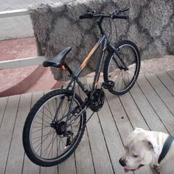 Huffy Granite Mountain Bike