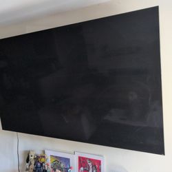 75 in. Vizio TV ( Screen Went Dark)