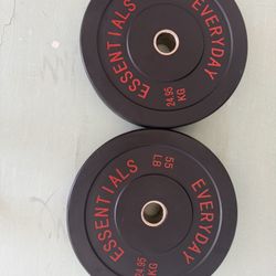 2x55 Lbs Plates 