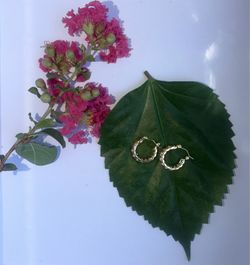 Gold hoop earrings