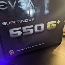 [BROKEN] EVGA Supernova 650g+ (80+gold)