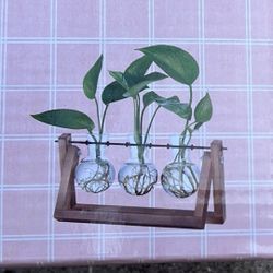 BRAND NEW Plant Terrarium 3 Bulb Vase