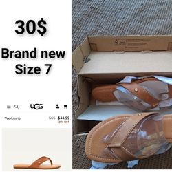 Ugg Sandal