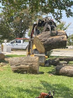 Hacemos Todo Trabajo  Árboles Trineado Yardas Rufin Etc