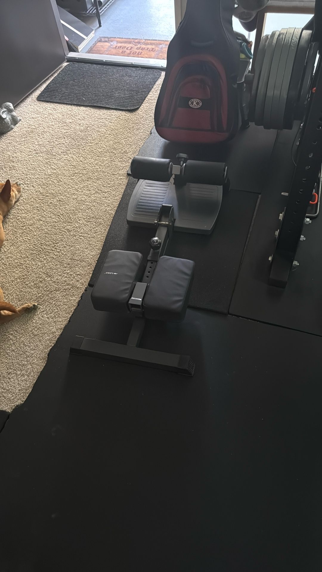 leikefitness Sissy Squat Machine, Deluxe Multi-Function Deep Sissy Squat Bench Workout Station, Leg Exercise Machine for Home Gym